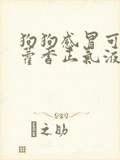 狗狗感冒可以喝藿香正气液吗