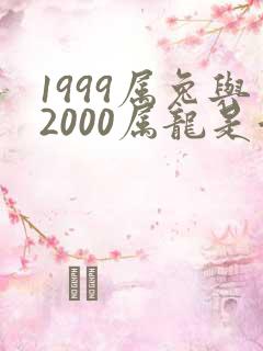 1999属兔与2000属龙是否婚配