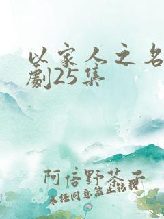 以家人之名电视剧25集