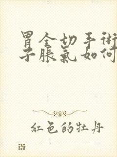 胃全切手术后肚子胀气如何快速消除