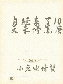 月经来了10多天未停怎么办