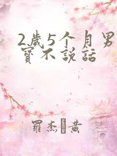 2岁5个月男宝宝不说话