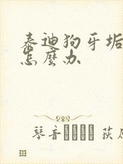 泰迪狗牙垢很厚怎么办