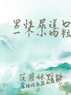 男性尿道口上长一个小肉粒