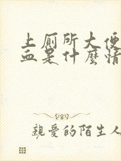 上厕所大便拉出血是什么情况男性