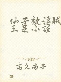 仙子被淫贼玩弄玉足小说