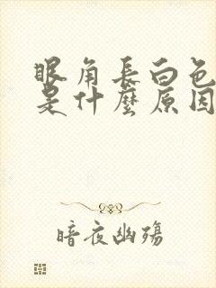 眼角长白色斑块是什么原因是血脂偏高图片