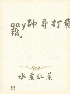 gay帅哥打飞机