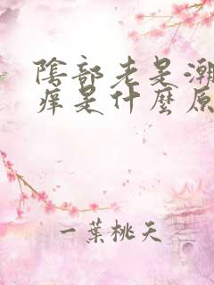 阴部老是潮湿瘙痒是什么原因