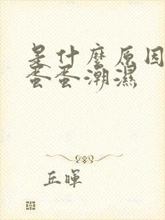 是什么原因引起蛋蛋潮湿