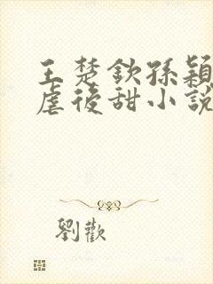 王楚钦孙颖莎先虐后甜小说