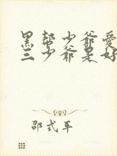 黑帮少爷爱上我三少爷是好人吗