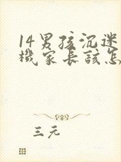 14男孩沉迷手机家长该怎样引导