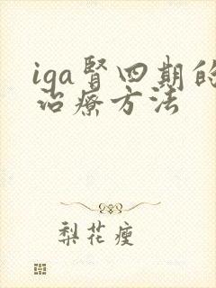 iga肾四期的治疗方法