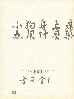 小狗身上痒怎么办用什么药