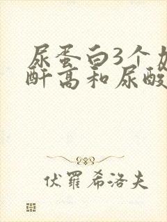 尿蛋白3个加肌酐高和尿酸高怎么办