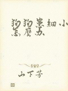 狗狗患细小病毒怎么办