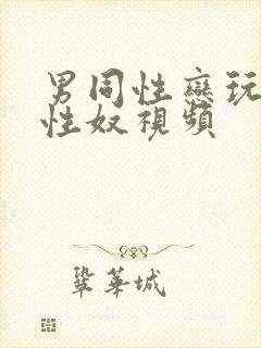 男同性恋玩弄男性奴视频