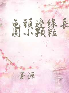 龟头边缘长了一圈小颗粒