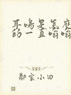 耳鸣是怎么引起的一直嗡嗡响