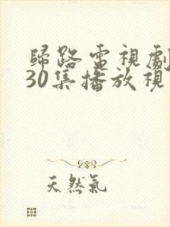 归路电视剧全集30集播放视频