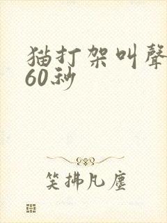 猫打架叫声凶猛60秒