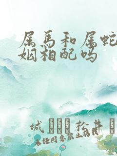 属马和属蛇的婚姻相配吗