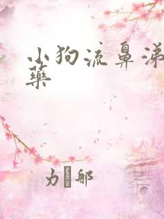 小狗流鼻涕吃啥药