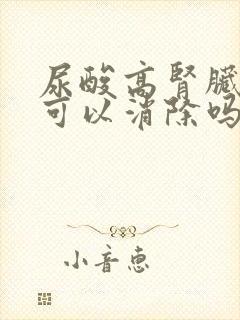 尿酸高肾脏结晶可以消除吗