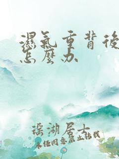 湿气重背后长痘怎么办