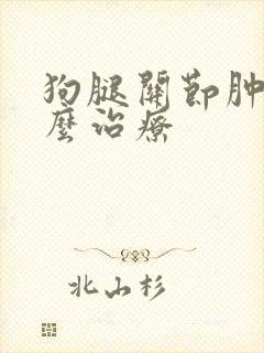 狗腿关节肿大怎么治疗