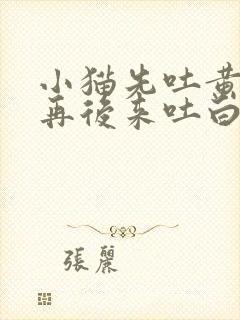 小猫先吐黄水,再后来吐白沫