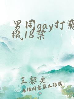 男同gay打飞机18禁