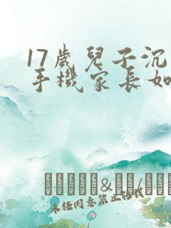 17岁儿子沉迷手机家长如何引导