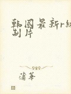 韩国最新r级限制片