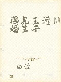 遇见王沥川续未婚生子