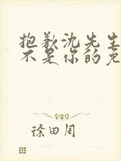 抱歉沈先生孩子不是你的免费完结短剧