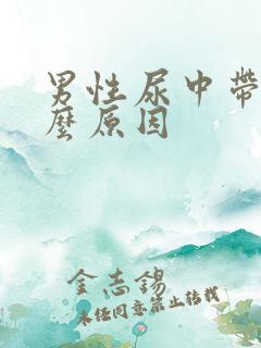 男性尿中带血什么原因