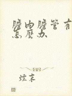 胆内胆管有结石怎么办