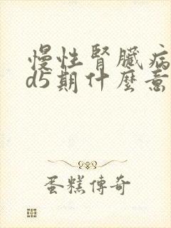 慢性肾脏病ckd5期什么意思