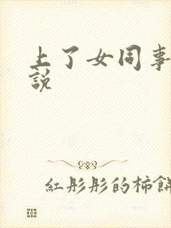 上了女同事 小说