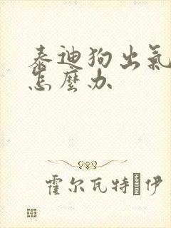 泰迪狗出气很臭怎么办