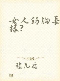 女人的胸长什么样?