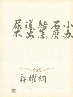 尿道结石小便排不出怎么办