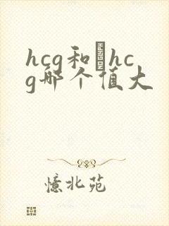 hcg和βhcg哪个值大