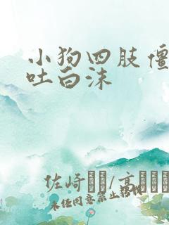 小狗四肢僵硬口吐白沫