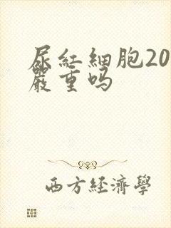 尿红细胞201严重吗