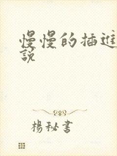 慢慢的插进去小说