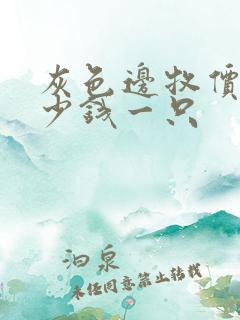 灰色边牧价格多少钱一只