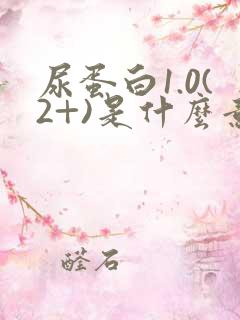 尿蛋白1.0(2+)是什么意思